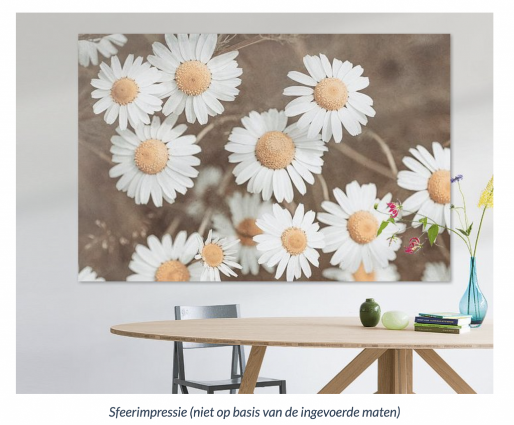 Werk aan de Muur Madeliefjes