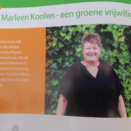 Een klein beetje publiciteit