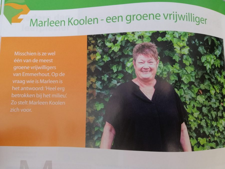 Een klein beetje publiciteit