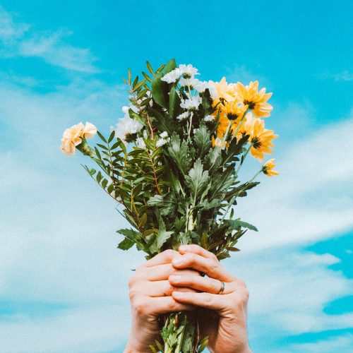 Eetbare bloemen bij jou om de hoek