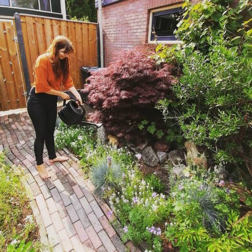 Nieuwe tuin, nieuw streven